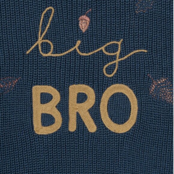 NWT MODERN MOMENTS BABY BOY SWEATER 2T BIG BRO MATCHING FALL AUTUMN FALL - Picture 2 of 4